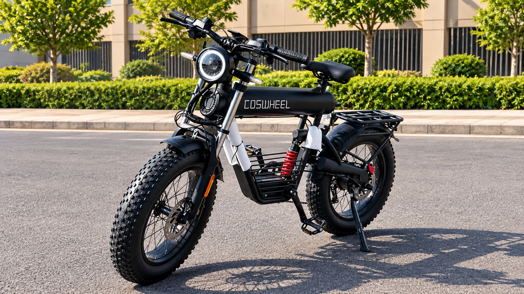 Electric Bike
